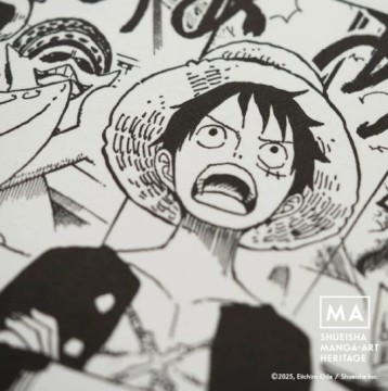 Monkey D Luffy. (Instagram @onepiece_staff)